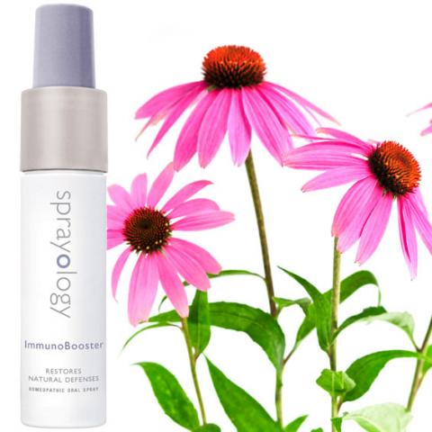 Immuno Booster Echinacea