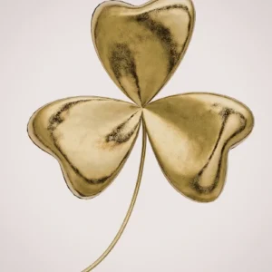 When Luck Meets Preparation, Magic Happens